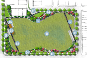 drawing of the meadow layout